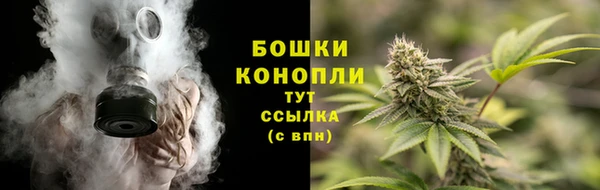 шишки Алексеевка