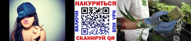 Шишки марихуана марихуана  как найти закладки  KRAKEN маркетплейс  Грязовец 